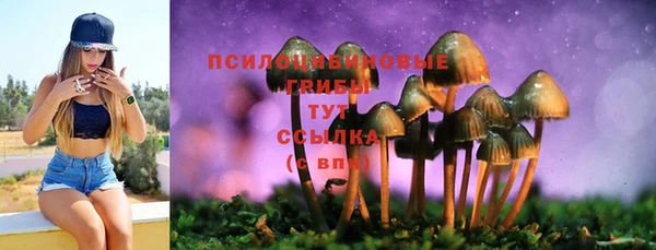 гашик Баксан