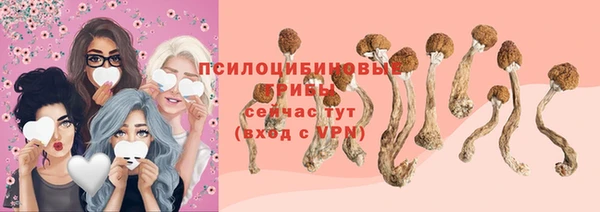гашик Баксан