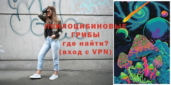 прущие грибы Балахна