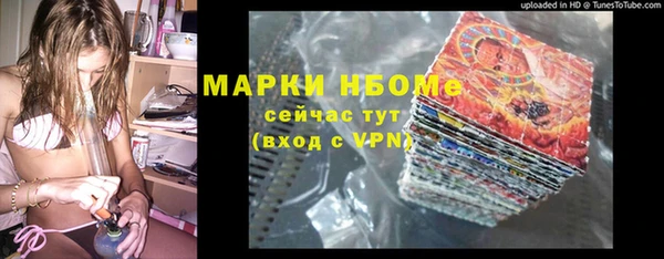 прущие грибы Балахна