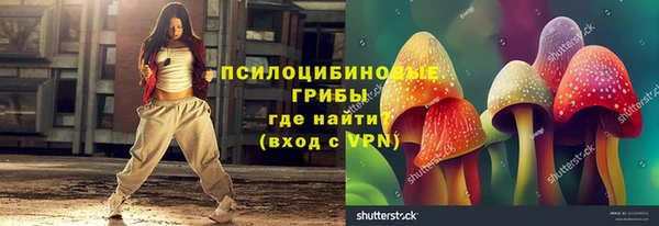 гашик Баксан