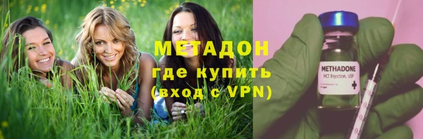 прущие грибы Балахна
