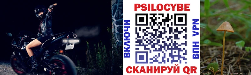 Купить Гусев Псилоцибиновые грибы мухоморы