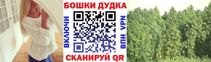 Конопля конопля  Купить закладки  Гусев 